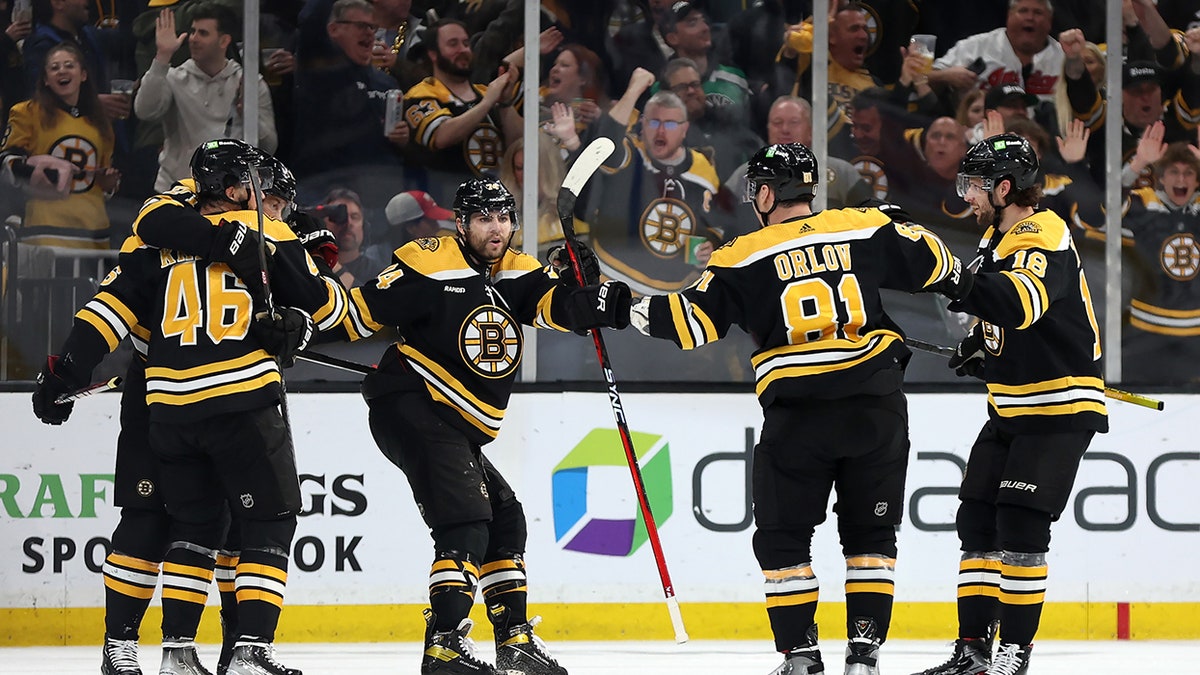 Bruins celebrate goal