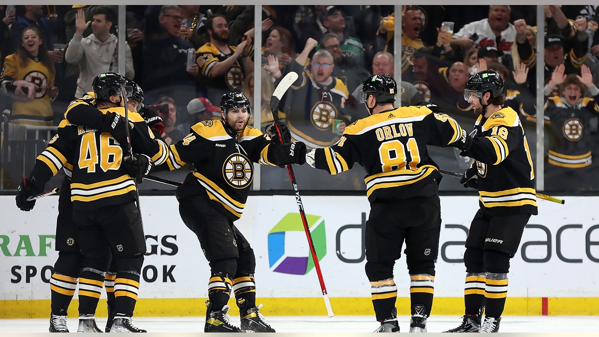 Bruins celebrate goal