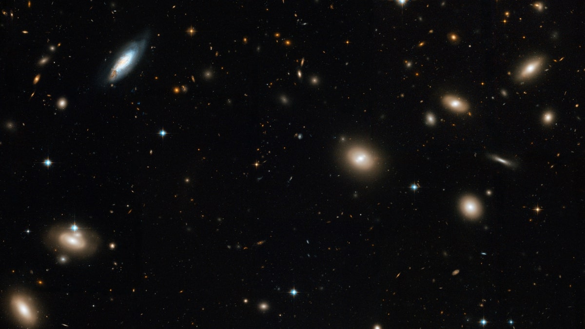 The Coma Cluster