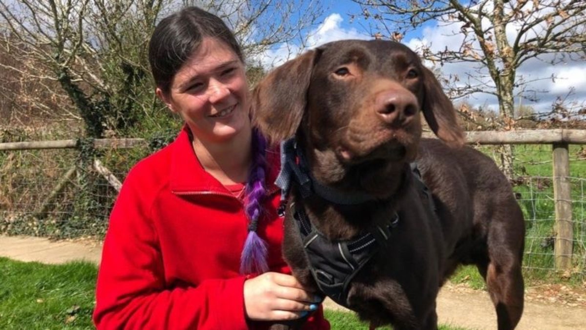 Coco the dog with caretaker