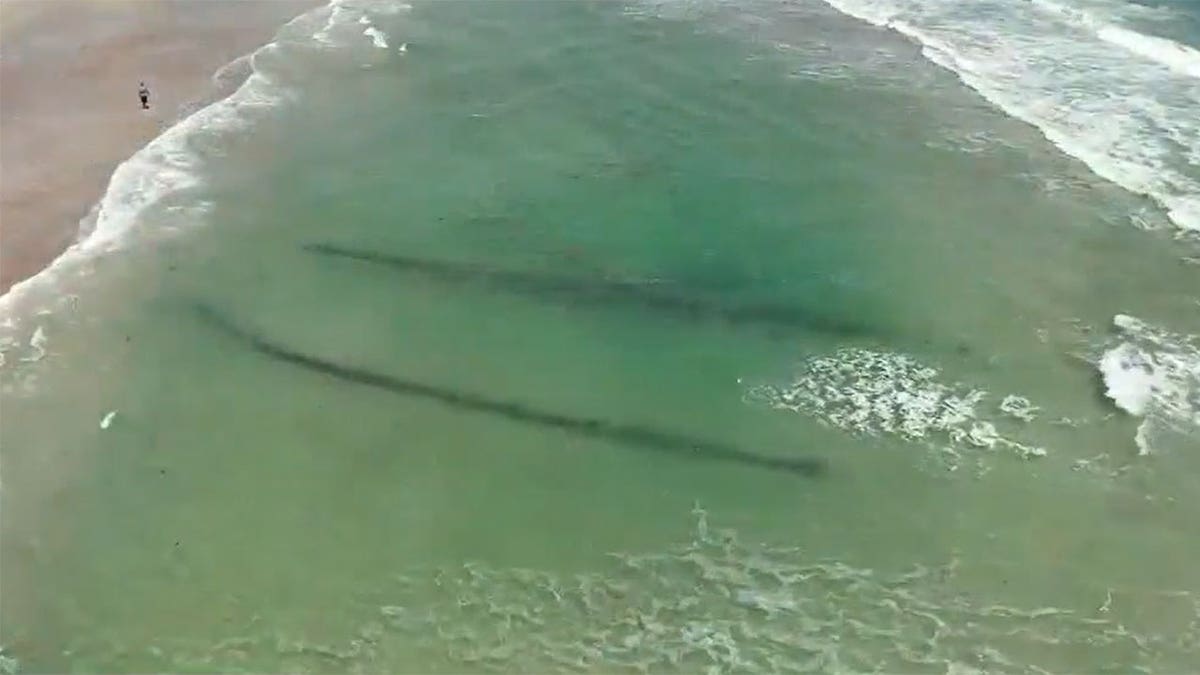 Daytona Beach Shipwreck