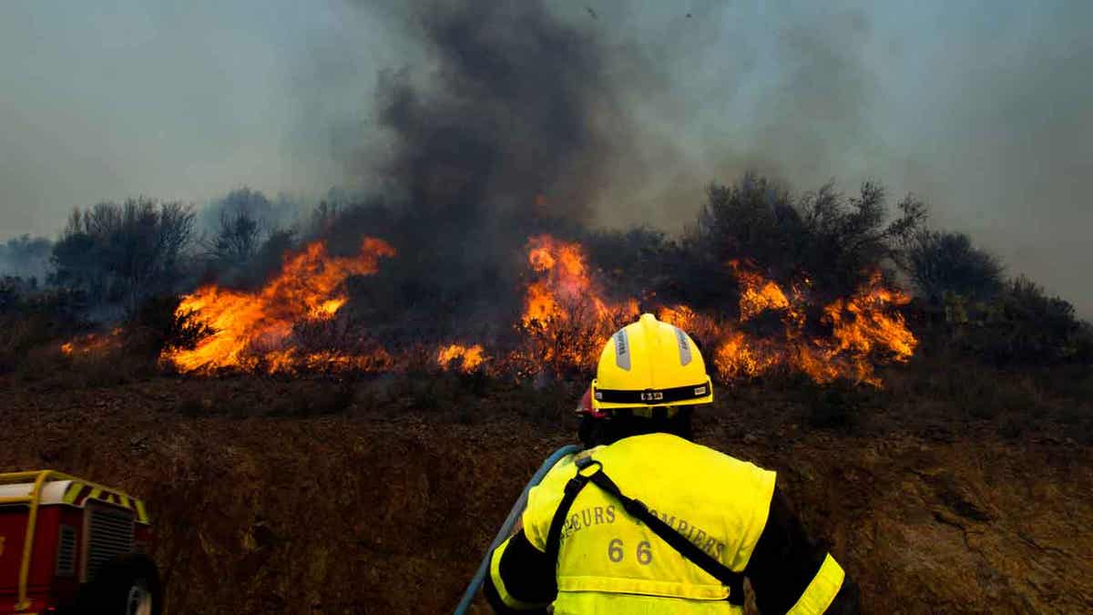 France forest fire