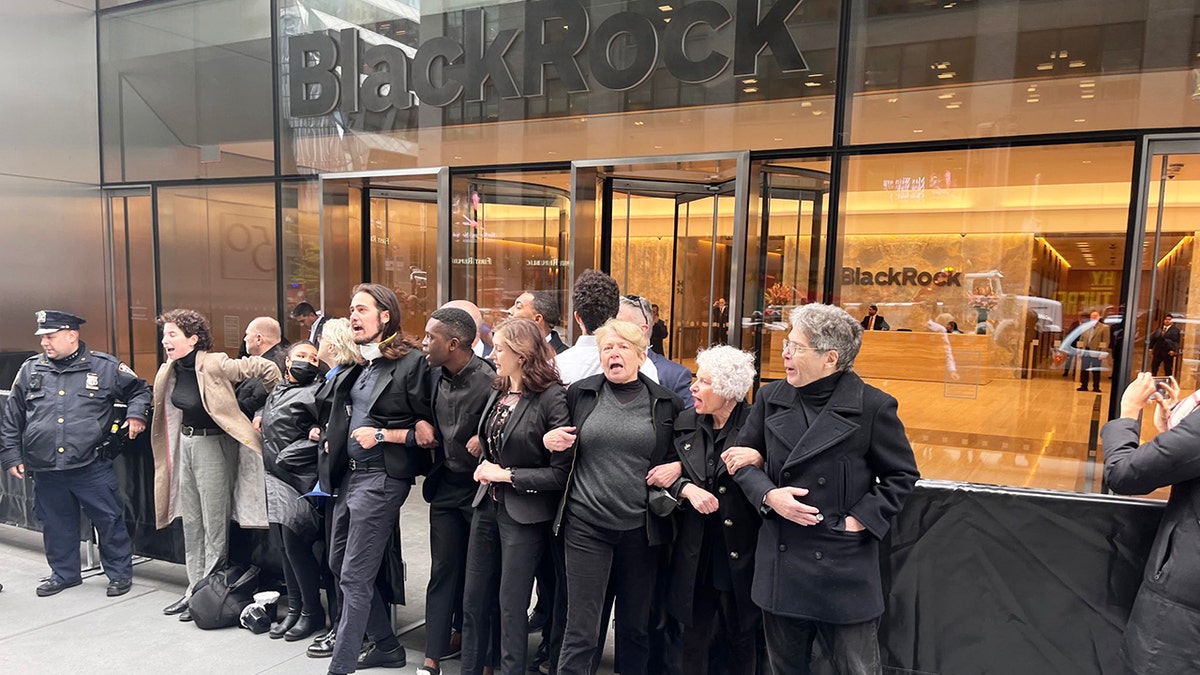 BlackRock protest in NYC