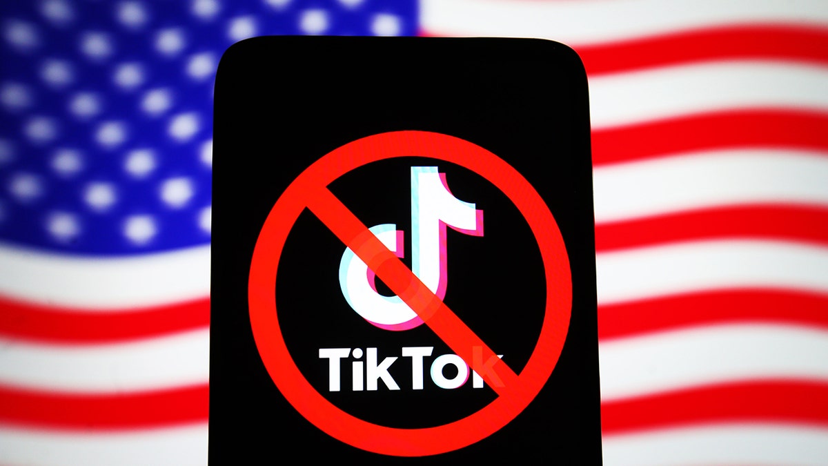 TikTok ban, logo