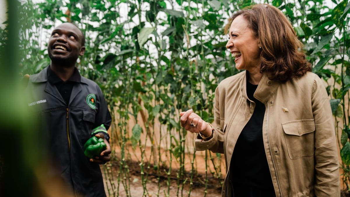 Kamala Harris tours Zambian farm