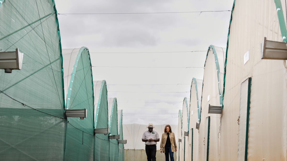 Vice President Kamala Harris tours farm in Zambia