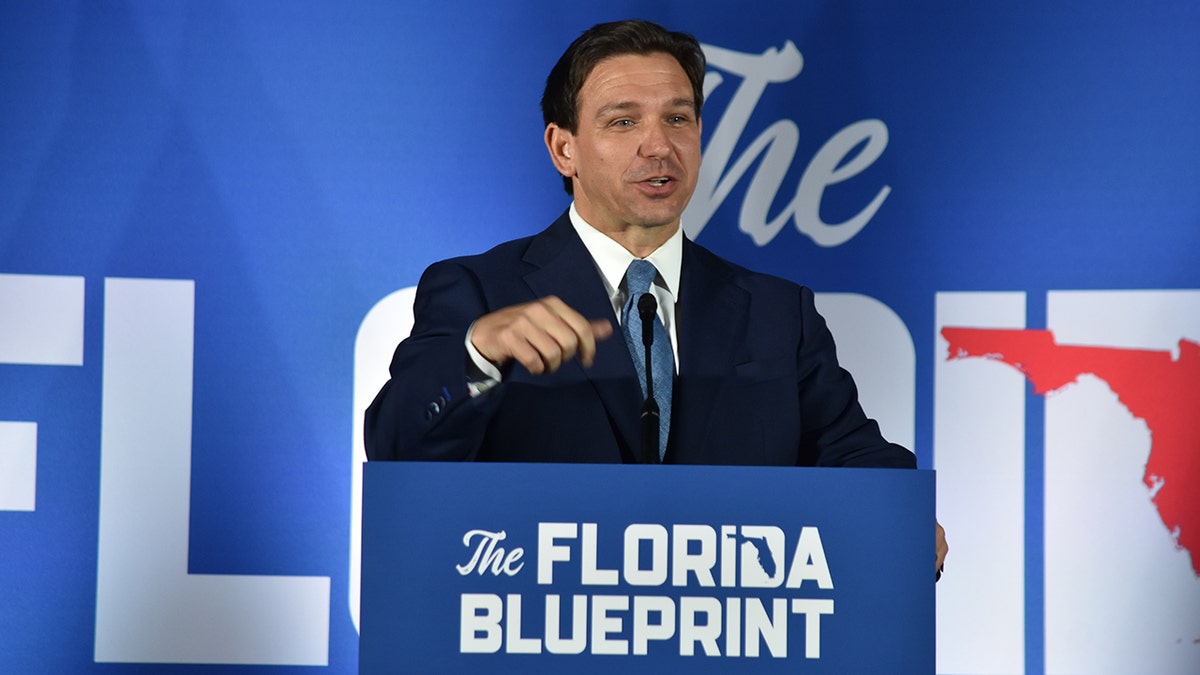 DeSantis on Long Island