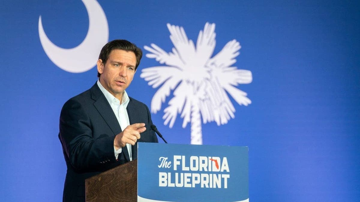 Florida Gov. Ron DeSantis speaks to a crowd