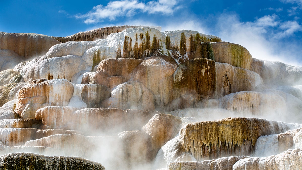 fontes termais de mamute de yellowstone