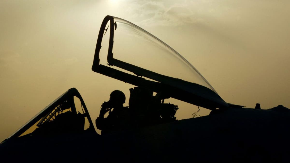 A-10 Thunderbolt II pilot