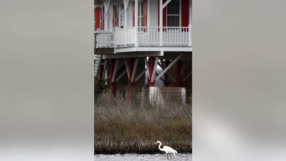 Bolivar Peninsula, Texas