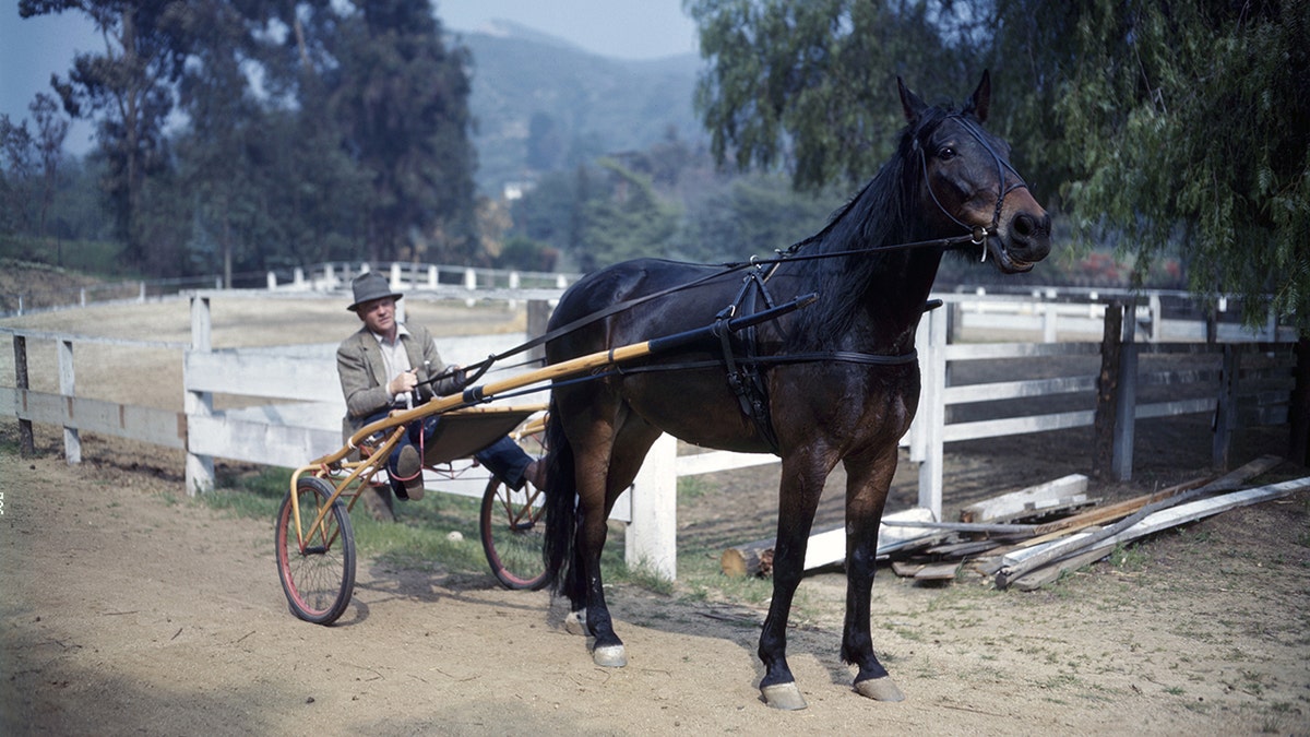 James Cagney in the harness of one of his horses