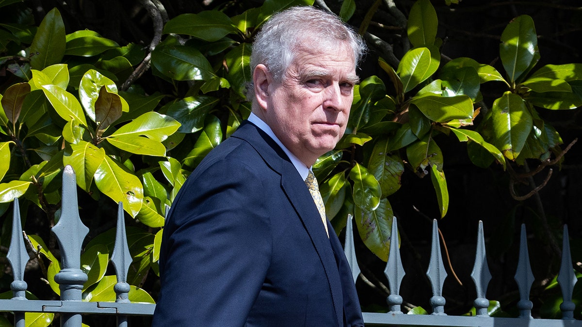 Prince Andrew looking series in a suit and tie next to a fence and tree