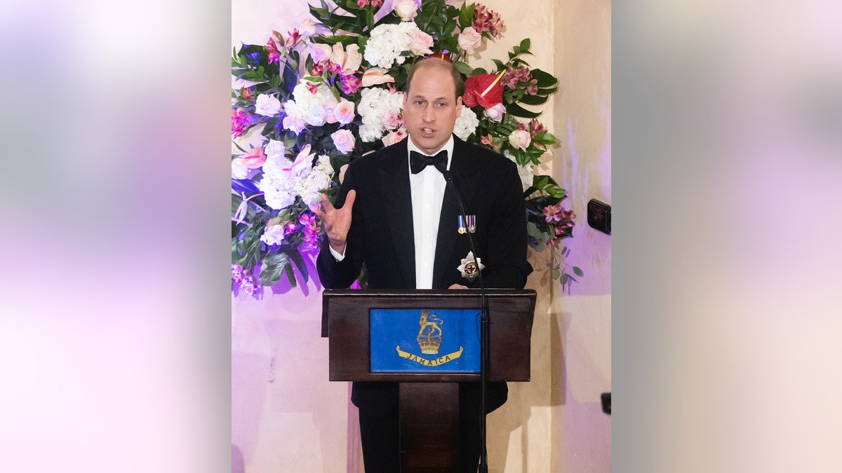 Prince William in a suit and bow tie speaking to an audience