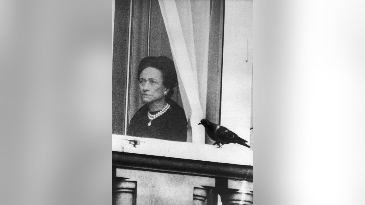 Wallis Simpson looking outside from a window next to a pigeon