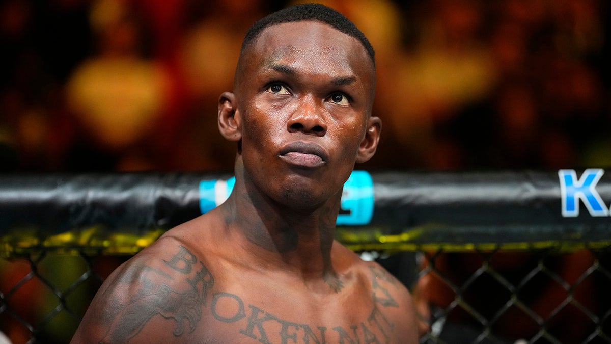 Israel Adesanya looks up