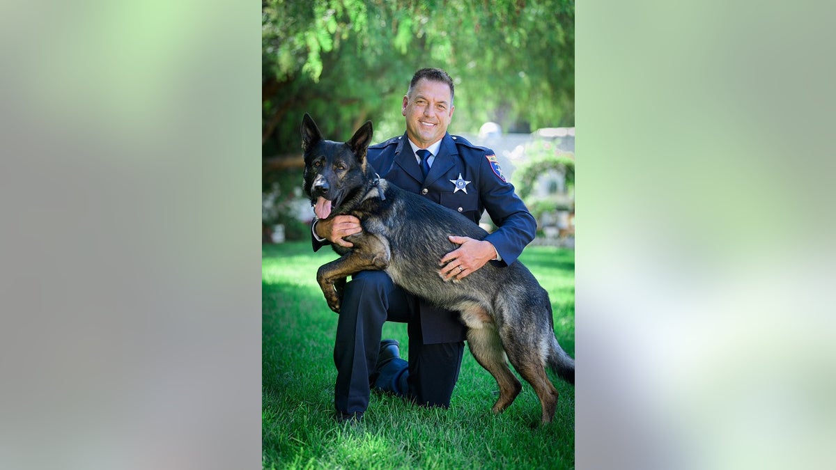 Illinois K-9 nabs suspect