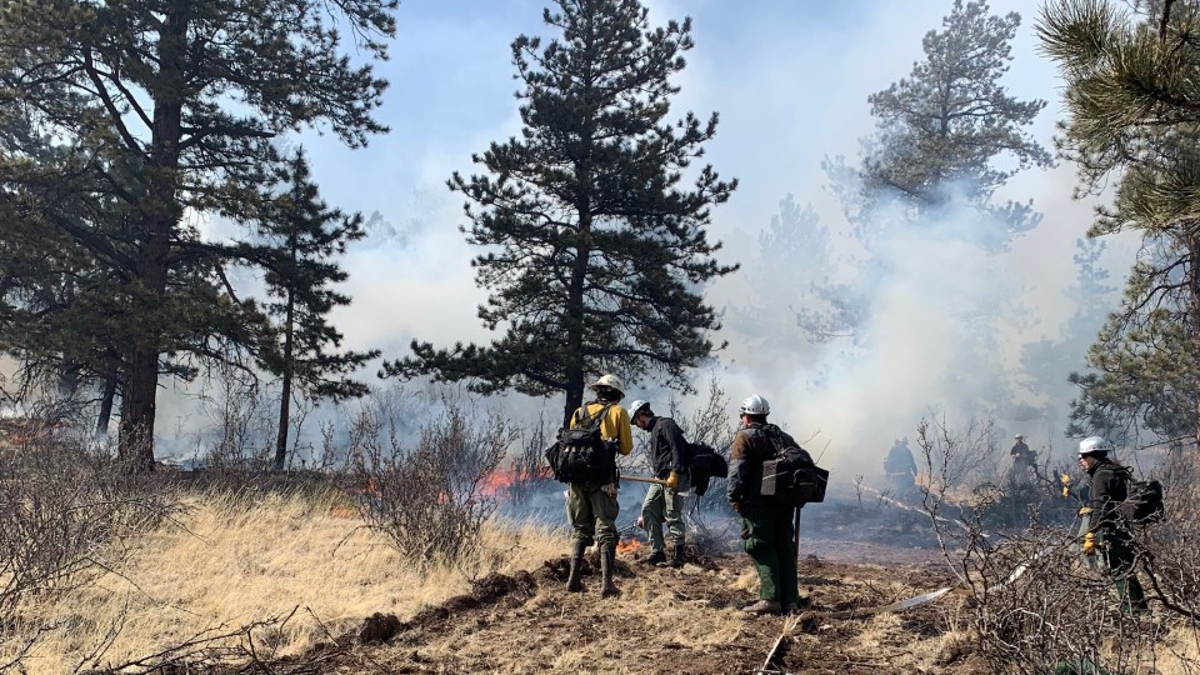 Colorado Fire