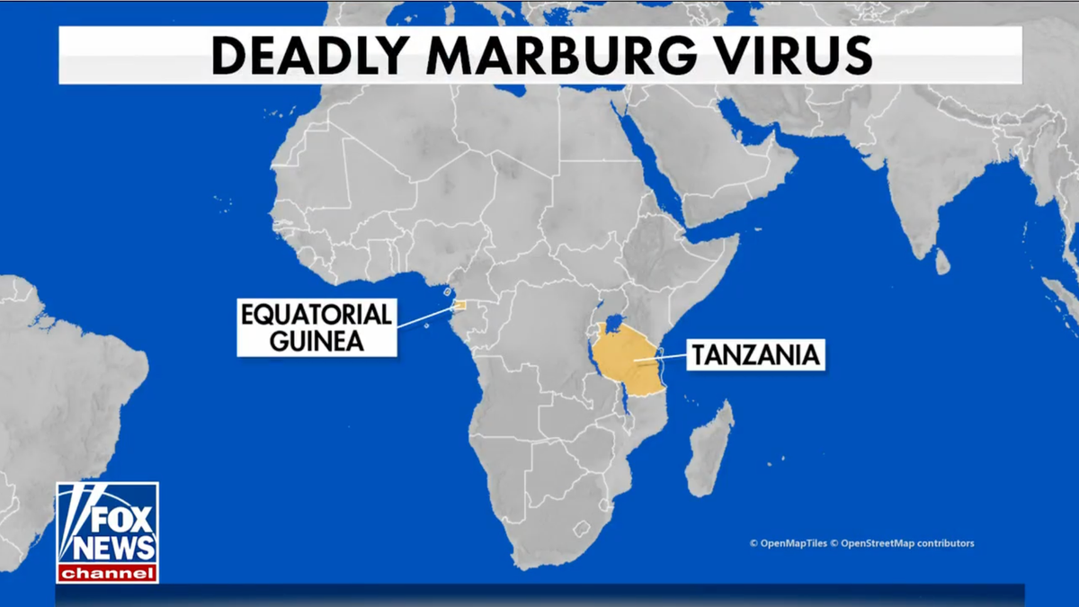 Marburg virus outbreaks