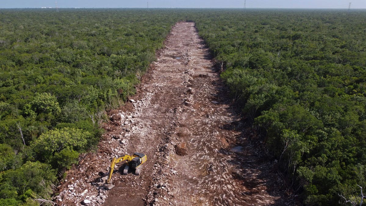 Mexico Environment Train