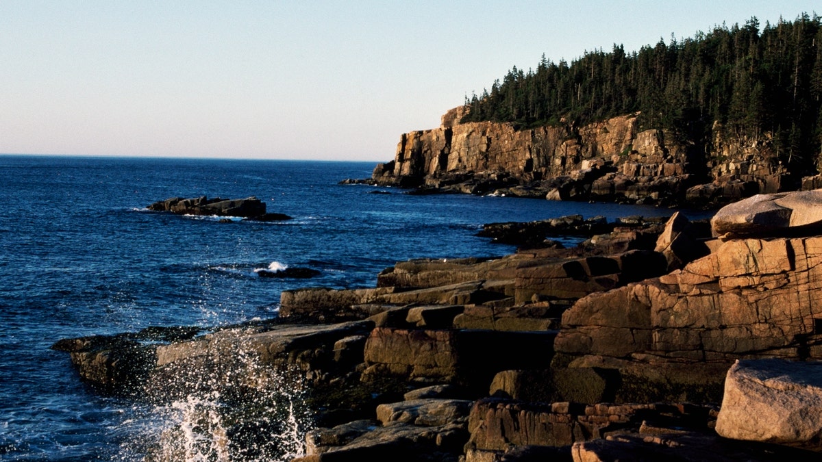 The Otter Cliffs in Acadia National Park