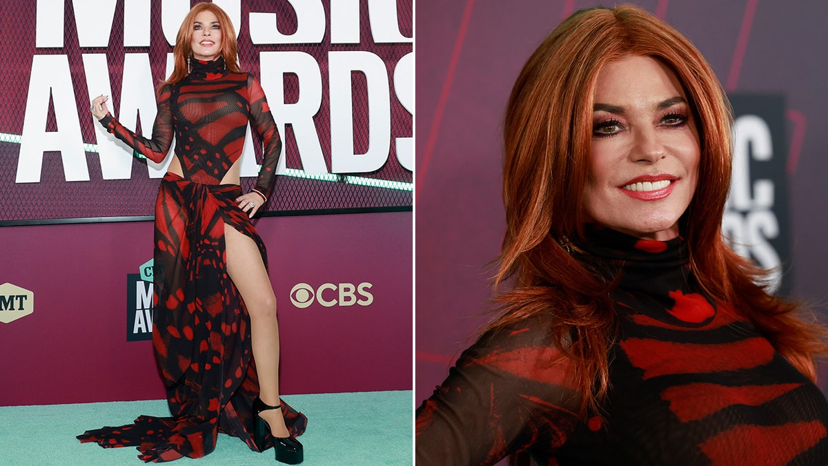 Shania Twain wears red wig to match see-through dress.