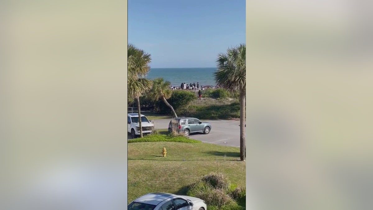 South Carolina beachgoers flee shooting in video