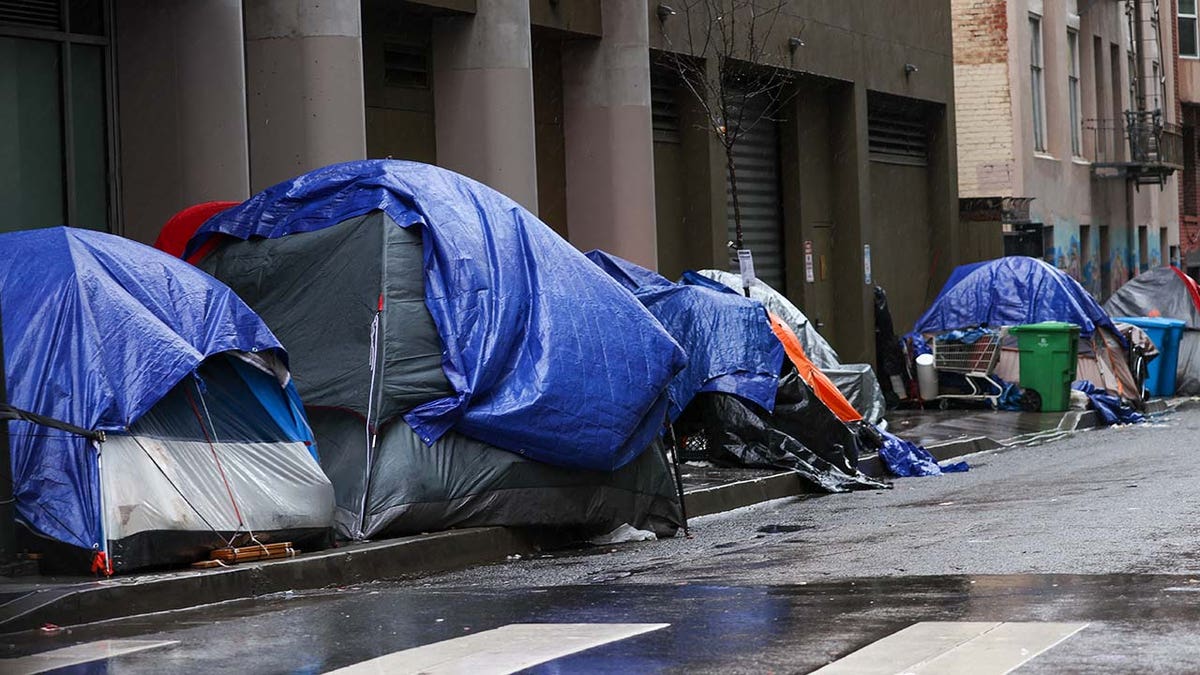 Fed Up San Francisco Residents Forced To Self-fund Heavyweight Planters ...