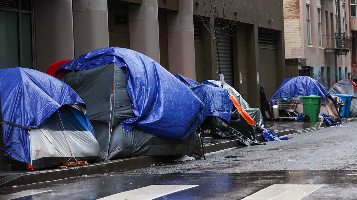Homeless tents are seen near the Tenderloin District