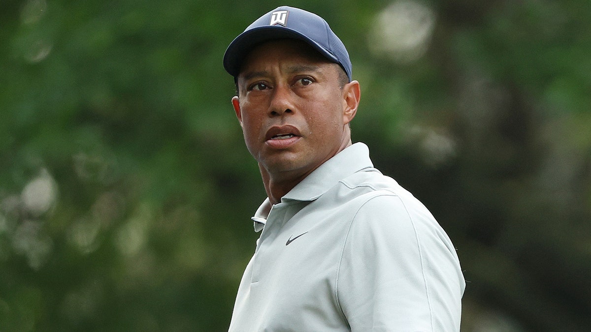 Tiger Woods looks on