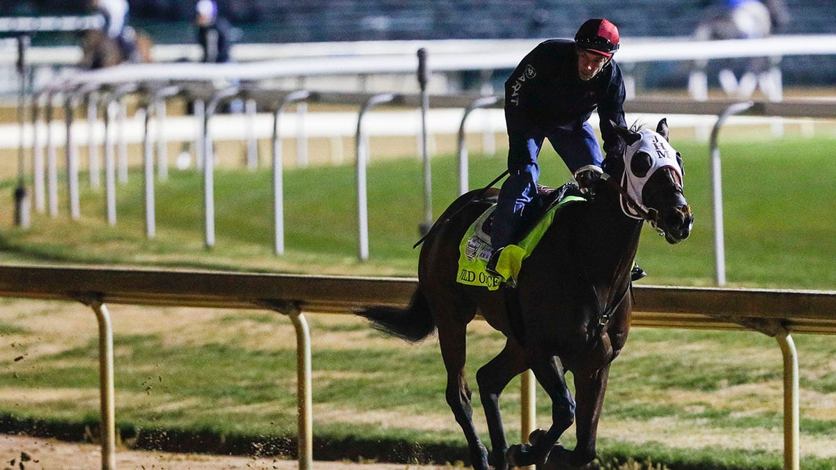 Wild On Ice trains with jockey Ken Tohill