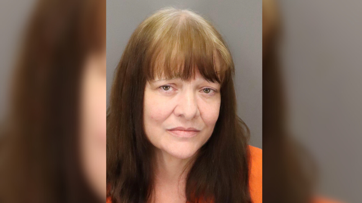 Florida woman drunkenly shoots and kills pet parrot, sprays husband ...