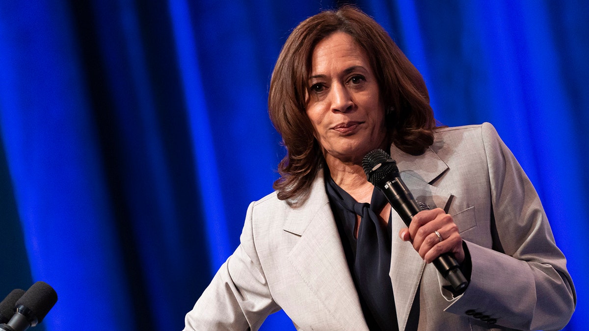 Vice President Kamala Harris talks about abortion in speech