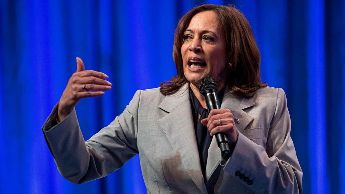 Voters Demand More Out Of Vice President Harris: ‘Why Am I Not Hearing ...