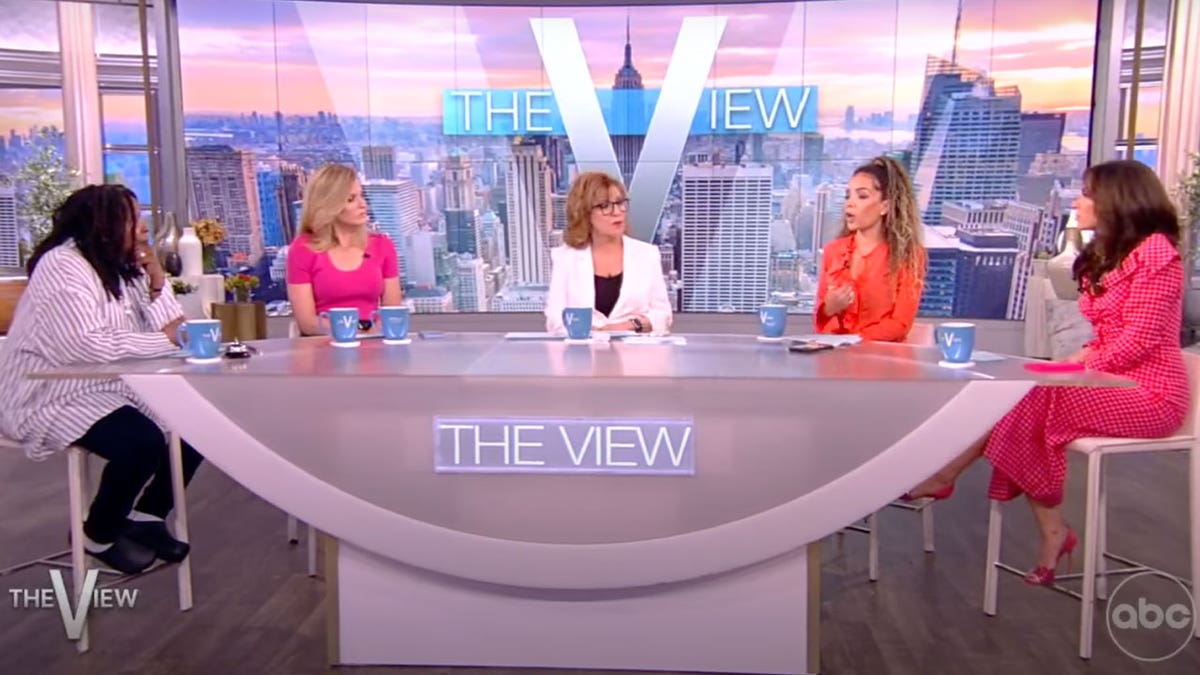 The View co-hosts