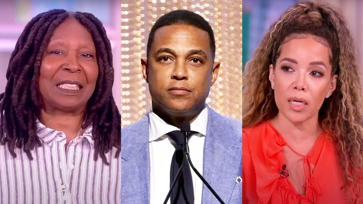 View Don Lemon Split