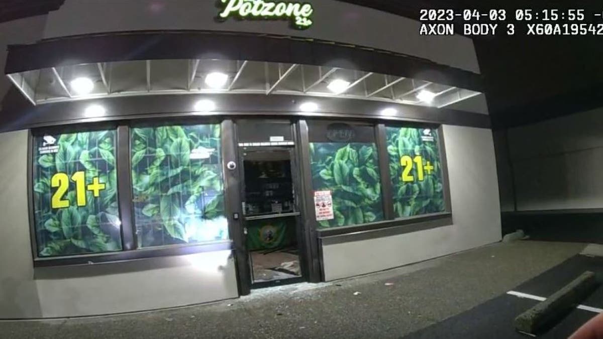 Potzone store front grab from video