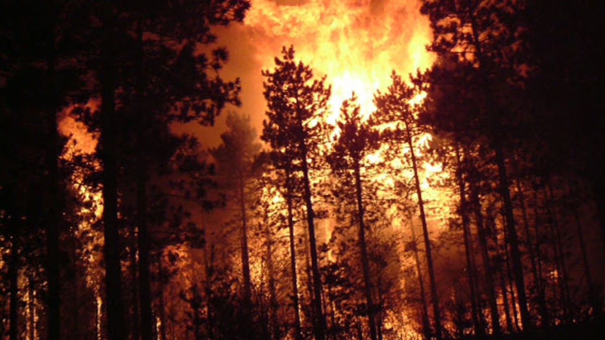 Wisconsin forest fire