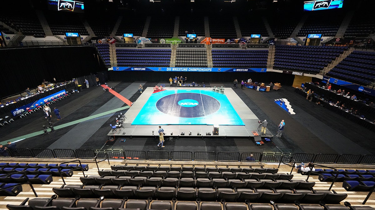 Generic view of wrestling mat