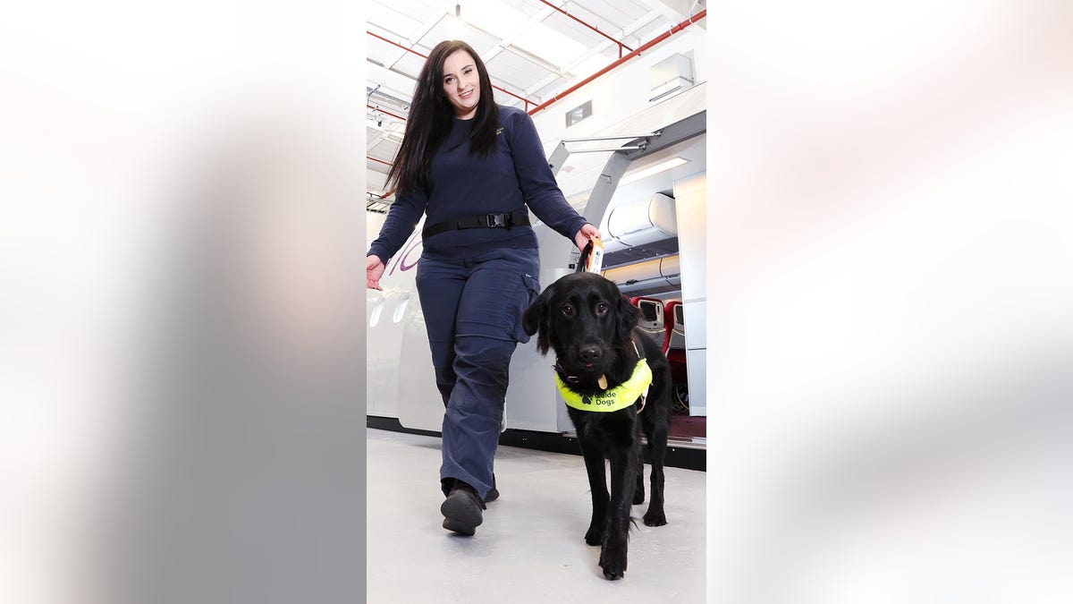 Sight loss guide dog