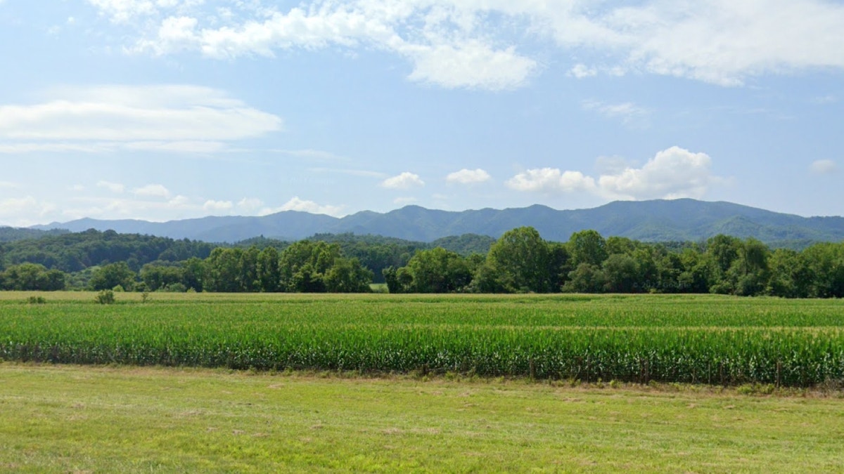 Field in Andrews, North Carolina