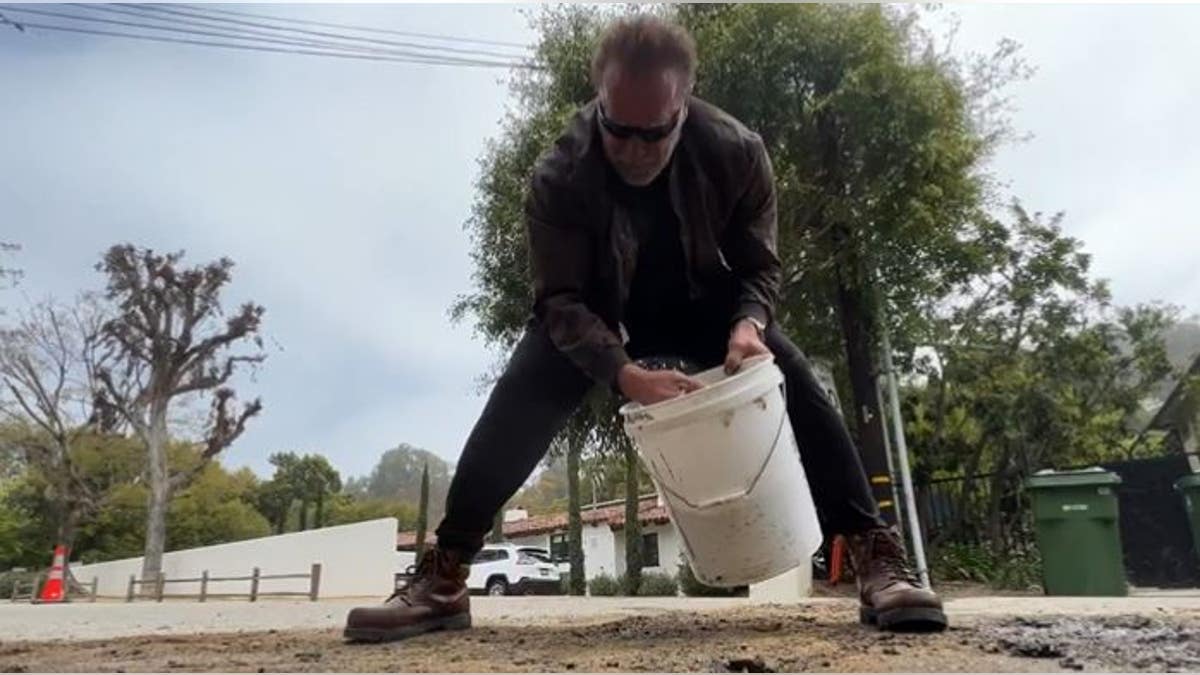 Arnold Schwarzenegger fills in pothole