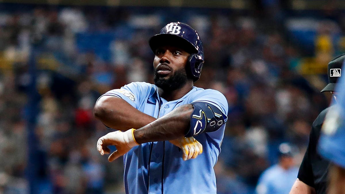 Know Your Enemy: Tampa Bay Rays - Bluebird Banter