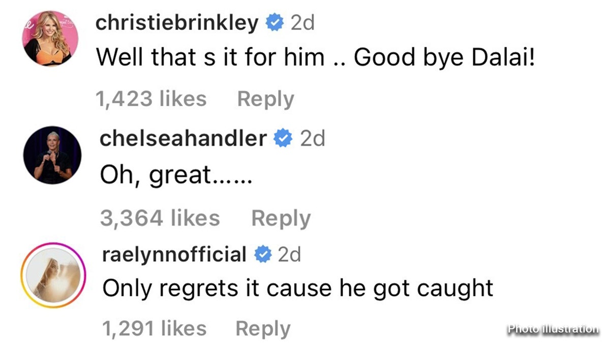 comments left by Christie Brinkley, Chelsea Handler, and RaeLynn beneath a People Magazine Instagram post: reading (respectively) "Well that s [sic] it for him .. Good bye Dalai," (Brinkley), "Oh great..." (Handler) "Only regrets it cause he got caught," (RaeLynn)