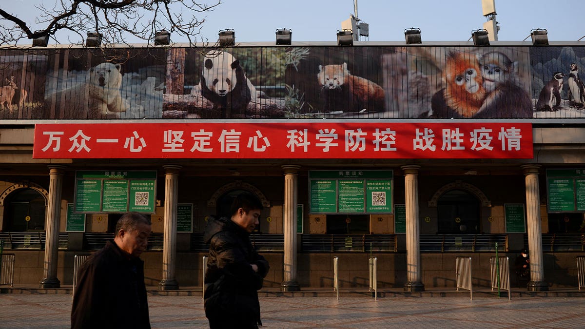 Beijing zoo 
