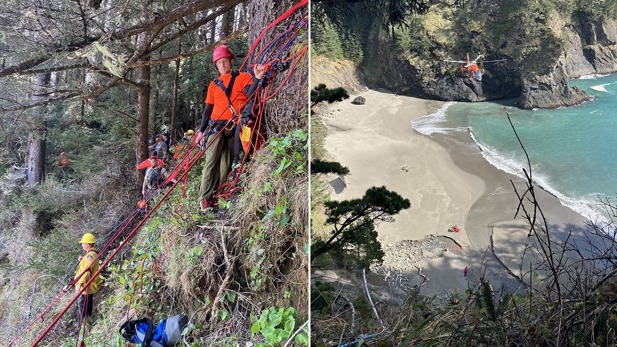rescuers on the edge of the cliff above the beach