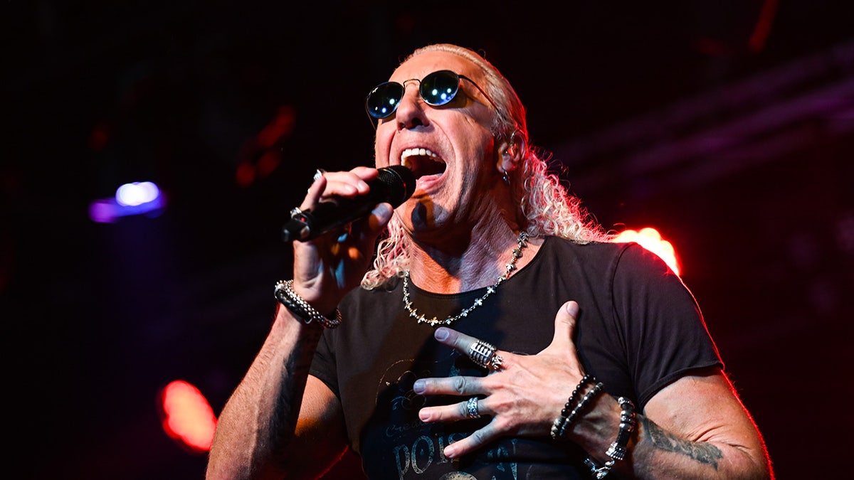 Twisted Sister singer Dee Snider sings on stage at a concert