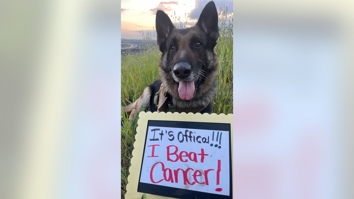 cooper beat cancer sign