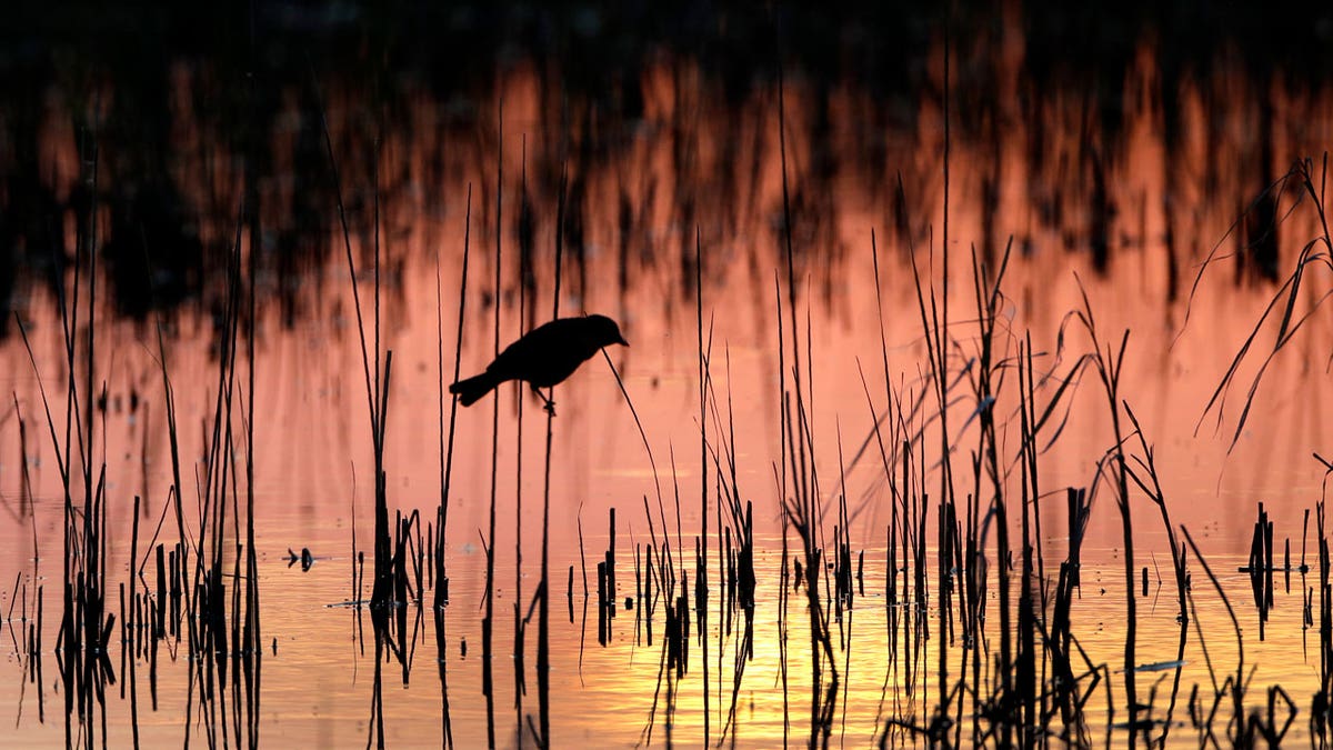 Water Protections Lawsuit