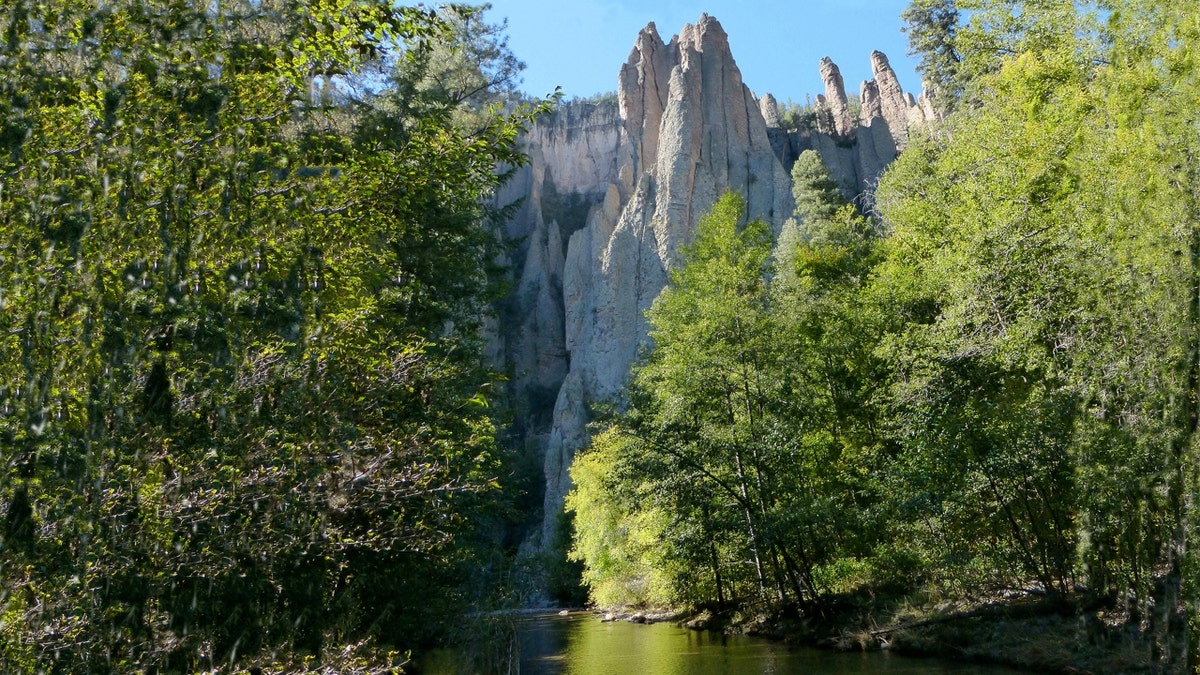 Gila National Forest